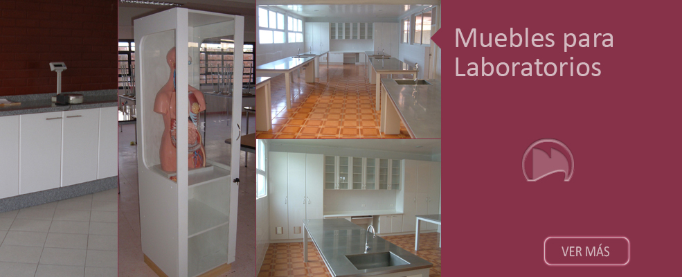Muebles Moraga y Mendez - Muebles Laboratorio